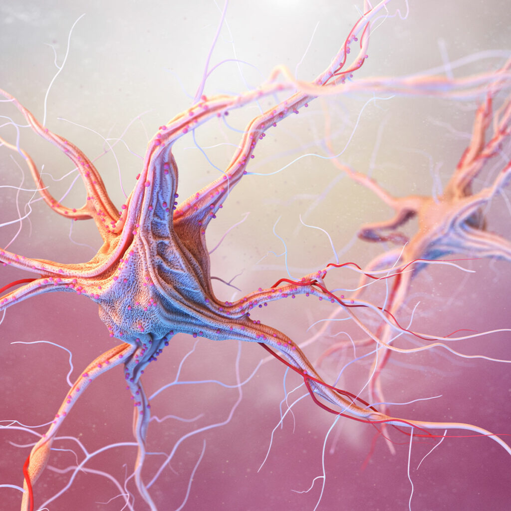 Neurons in the nervous system rendering